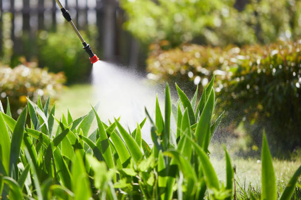 24/7 Emergency Mosquito Control experts in Elmwood Place, OH